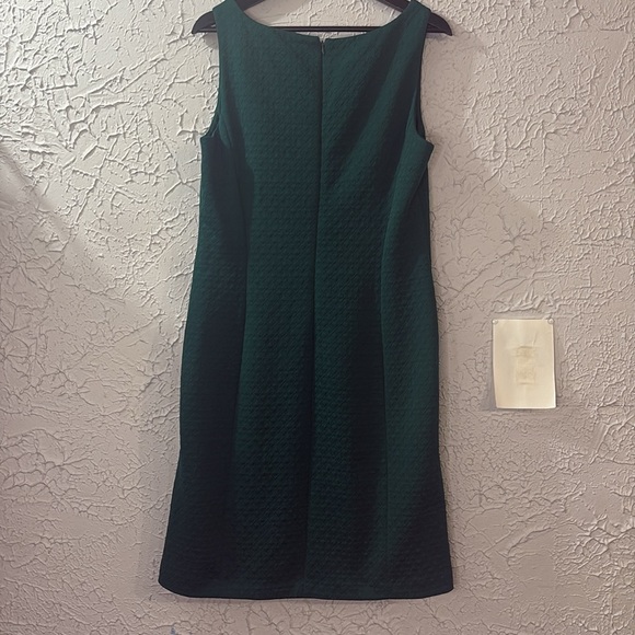 Pappagallo The Brooke Dress Kelly Green 8 Sleeveless Jewel Neck Above The Knee - Picture 9 of 11